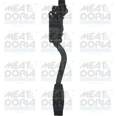 Accelerator Pedal Unit